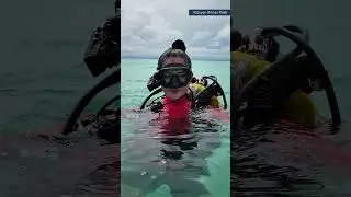 Маска Omnis🤿Комфорт, о котором вы и не задумываетесь. Эффективность, на которую можно положиться💪...
