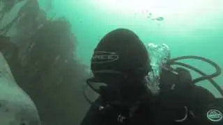 Seal of Approval