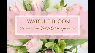 Botanical Tulip Vase Arrangement