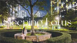 Small Steps Lofi - music for relaxing, study, work, chill, reading, sleep, focus, stress