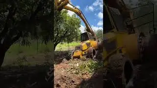 Getting bogged up here is common due to rainfall in wet season  #mangoseason #mangoharvest