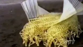 Theo Jansen's Strandbeests Monster Wind Machine &bull; TED Talks #MysteryHunter