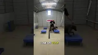 ⬅️➡️ Teach &ldquo;Over&rdquo; Like a Pro: Send Your Dog Between Place Boards with Precision! Want a fun,
