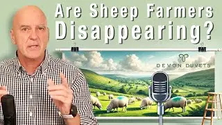 UK Sheep Farmers Are Disappearing: The Fight to Save Sustainable Wool & Rural Communities