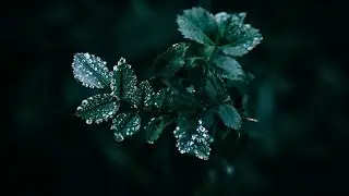 4 hours of hard rain on a metal roof (Rain Sleep Sounds) Rain Sounds for Sleeping. Rainfall