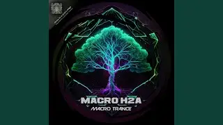 Macro Trance