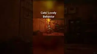 Cats lovely behavior #shorts #stray #cats