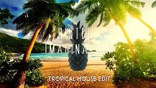 Distero - Imagination (Tropical House Edit)