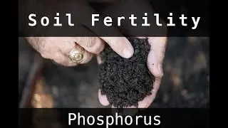 Soil Fertility: The Mineral Phosphorus