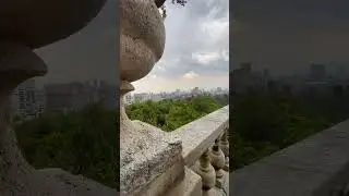 #cdmx #bosquedechapultepec #fok #latinx explore the beauty of mexico city!
