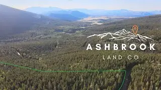 Colorado Mountain Land For Sale &bull; 8 Acres of Forest &bull; Ashbrook Land Co