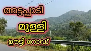 അട്ടപ്പാടി മുള്ളി ഊട്ടി റോഡ്