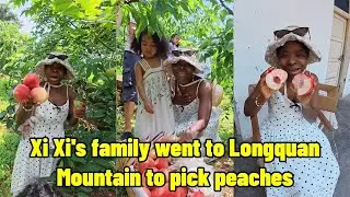 Xi Xi's family went to Longquan Mountain to pick peaches！