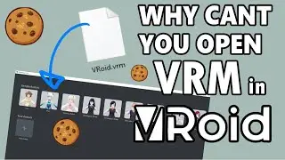 Why cant you open VRM in Vroid?