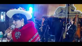 MARIBEL ALCANTARA MIX VICUÑITA.....