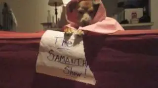 The Samantha Show: Samantha Talks About Seattle