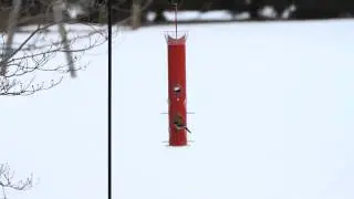 Perky-Pet&reg; Red Metal Tube Bird Feeder
