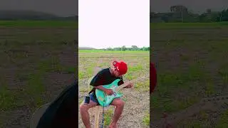 she's gone guitar solo