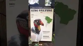 Roger Williams Park Zoo part 2 #zoo #rhodeisland #animals #fun #family #nature #thingstodo #park 