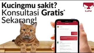Startup Profile - iLoPet (Konsultasi Dokter Hewan Online)
