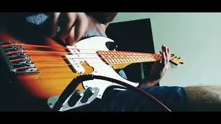 tagima tw66 pizzicato