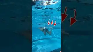 Frog Kick in Breaststroke to Increase Your Speed