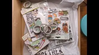 Hey Little Magpie Blind Box Unboxing Simple Stories