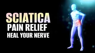 Sciatica Pain Relief | Heal Your Nerve Pathway | Strengthen Lower Back Buttock Back Of Thigh & Calf