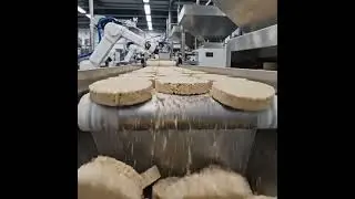 How the U.S. Produces Cassava Flour at Scale | Modern Factory Food Processing