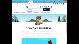 Configure Page Layouts and Record Types