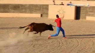 Capea de recortadores en una finca con vaquillas