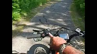 bugging out in the Woods yup
