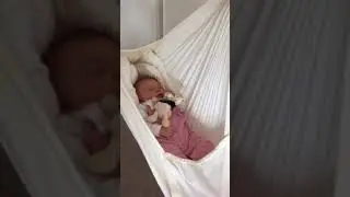 Natures Sway baby hammock