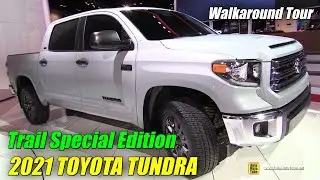 2021 Toyota Tundra Trail Special Edition - Exterior Interior Walkaround - 2020 Chicago Auto Show