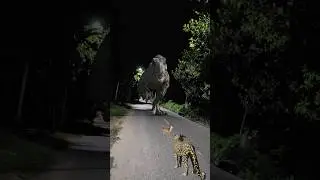 Run or Fight? Leopard Faces a Bigger Predator! #shorts #dinosaur #vfx #viral #trending
