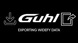 Exporting Widefy Data Video