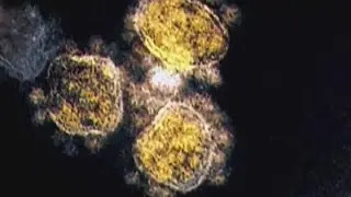 Alpha, Delta, Lambda: What you need to know about the different COVID-19 strains