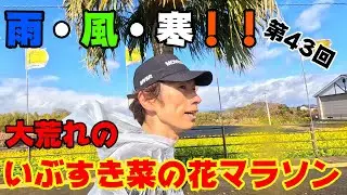 【大荒れ！】雨・強風・寒！過去一過酷だった指宿菜の花マラソン