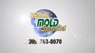 Miami Mold Specialist