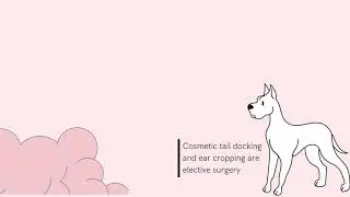 Tail Cutting and Ear Cropping