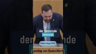 Altparteien rasten aus!