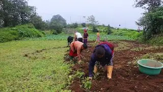 Daily Life of Remote Village People || Beautiful Activities of Mountain Village Nepal