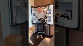 Filling our fridge with penguins (blind husband prank) #shorts