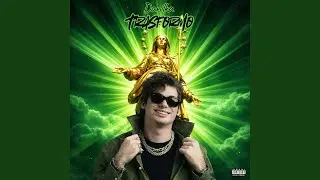 Trasformo