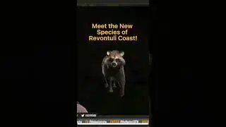 Meet the New Species of Revontuli Coast! #cotw #revontuli #newmap