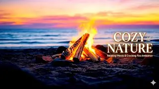 Fire crackling & Ocean Waves | Relax and breathe | Deep Relaxation Sounds 🔥🌊| +11 Hours 