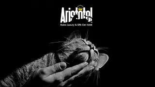 Aristotel GmbH Swiss Luxury & SPA cat hotel