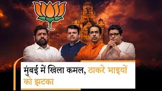 BMC Elections Results Live: BJP को भारी बढ़त, उद्धव और राज ठाकरे मिलकर भी कुछ नहीं कर पाये