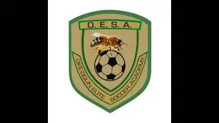 OKe Ogun Elite Soccer Academy (O.E.S.A) is live