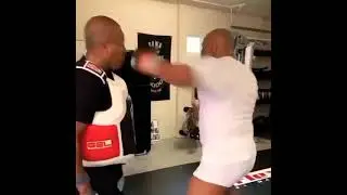 I think that Mike Tyson is still better than some boxers in their prime. | Legendary boxer